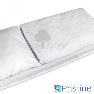 pristine-1