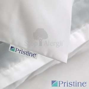 pristine-6